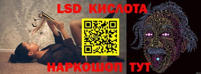шишки Лесосибирск