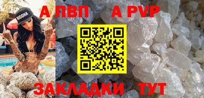 шишки Лесосибирск