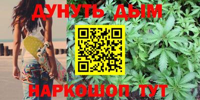 шишки Лесосибирск