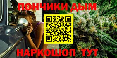 шишки Лесосибирск