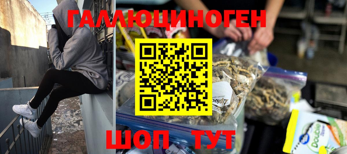 Псилоцибиновые грибы Psilocybine cubensis  Вход с VPN  Долгопрудный 